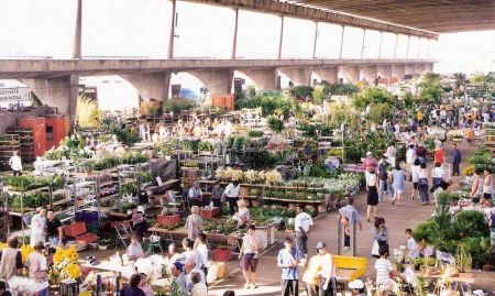 MAPA, HORÁRIOS E OUTRAS INFORMAÇÕES SOBRE A FEIRA DE FLORES NA CEAGESP |  Feira de Flores